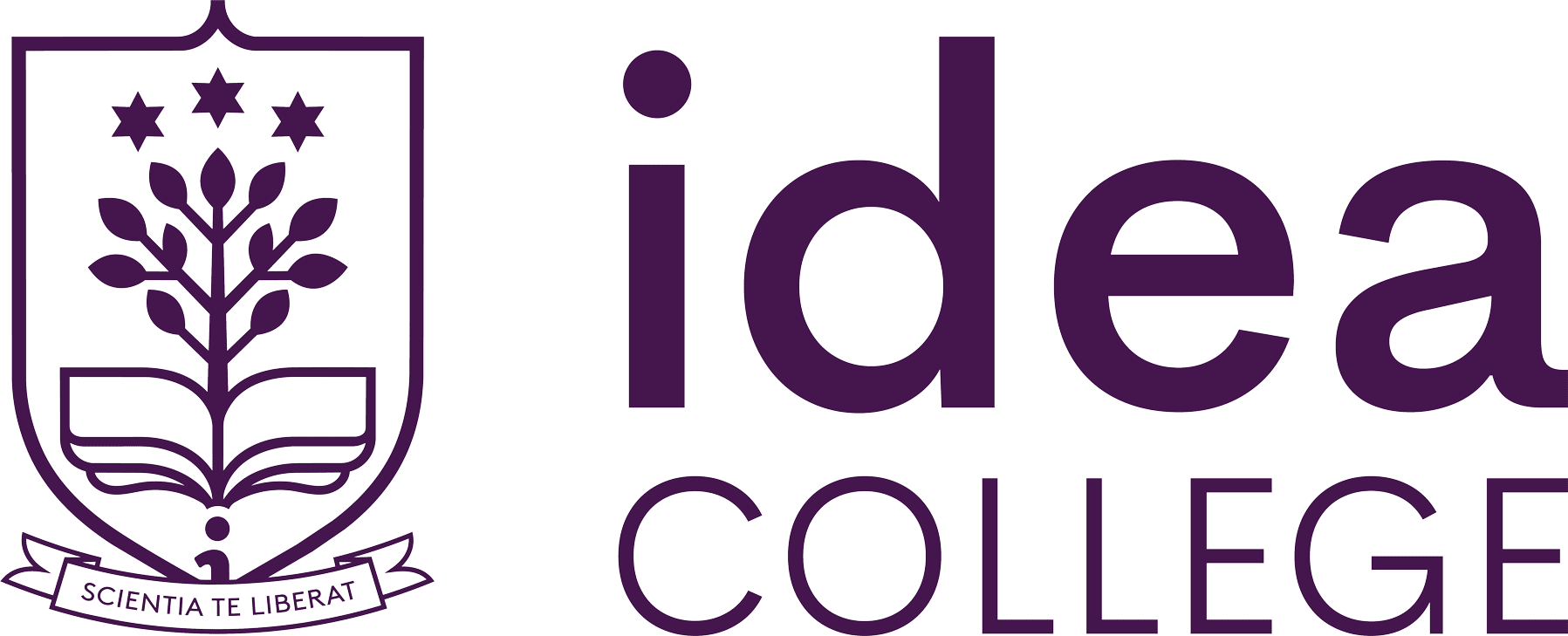 IDEA College
